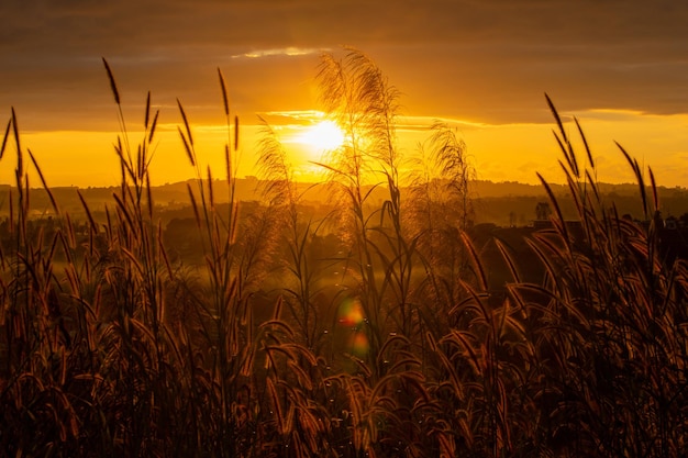 Vista mattutina all'alba mattutina nuvole nei colori cremisi arancioni