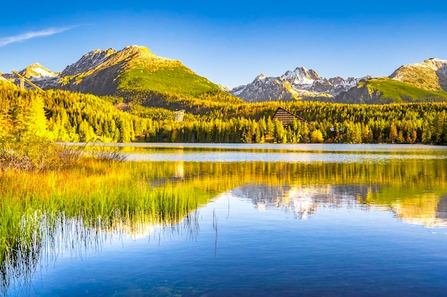 Vista mattutina sul lago Strbske pleso Strbske lago nel Parco Nazionale degli Alti Tatra Slovacchia paesaggio Europa