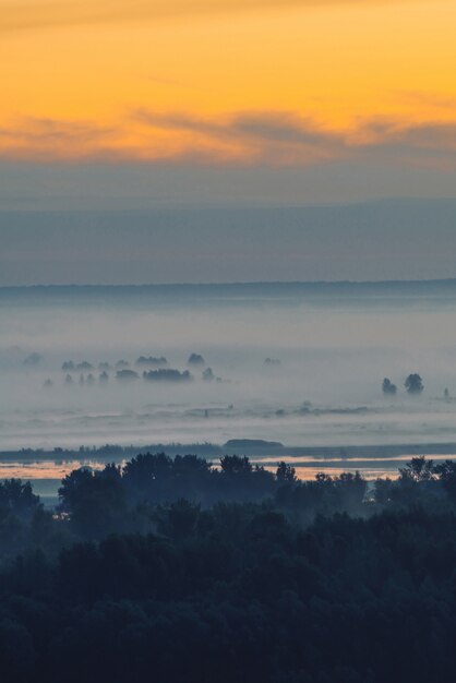 Vista mistica sulla foresta sotto foschia al mattino presto. Nebbia tra sagome di alberi sotto il cielo predawn. Riflessione della luce d'oro in acqua.