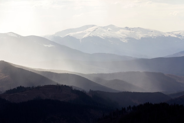 Vista mozzafiato sulle magnifiche montagne nebbiose dei Carpazi, ricoperte da una foresta sempre verde in una nebbiosa mattina o sera tranquilla sotto il cielo nuvoloso scuro. Cime delle montagne coperte di neve in lontananza.