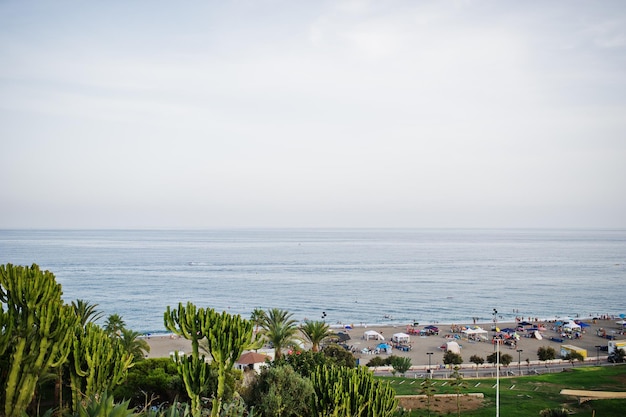 Vista mozzafiato sulle spiagge in riva al mare con vegetazione tropicale