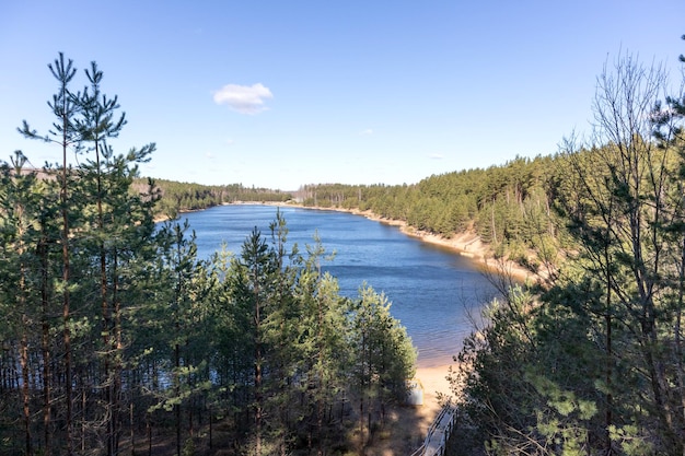 vista naturale dalla foresta a un lago blu diretto alla prospettiva