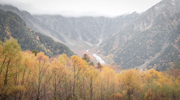 Vista naturale del paesaggio della foresta di colore rosso-arancione di autunno con la collina della montagna