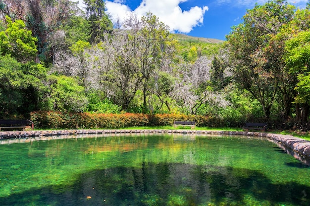 Vista naturale della piscina minerale verde