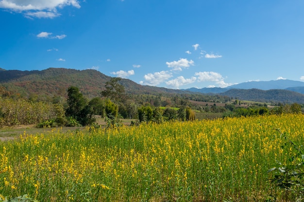 Vista naturale in campagna a Pai, Thailandia