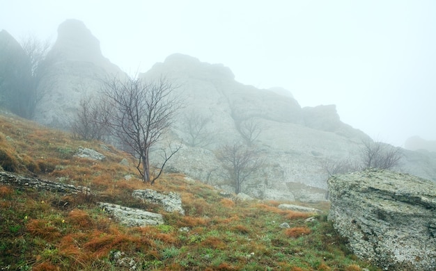 Vista nebbiosa delle montagne rocciose (Monte Demerdzhi, Crimea, Ucraina)