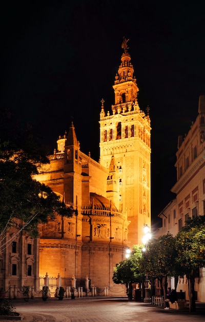 Vista notturna della cattedrale di siviglia in spagna.