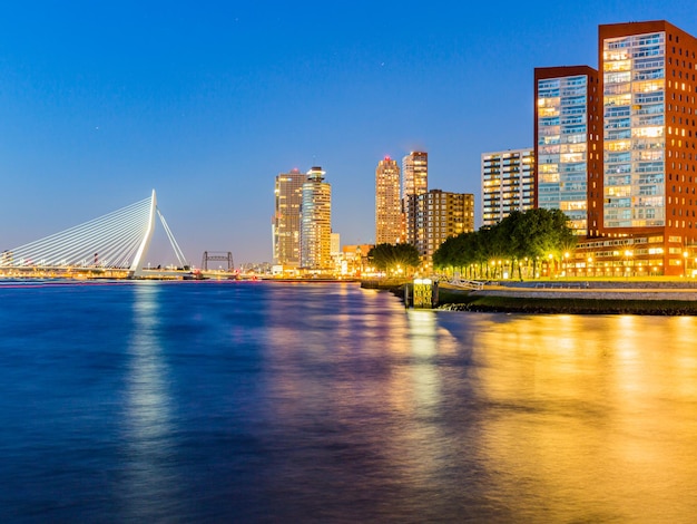 Vista notturna panoramica del ponte Erasmus e degli edifici a Rotterdam, Paesi Bassi