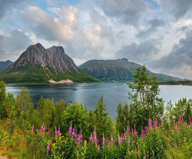 Vista nuvolosa di estate del fiordo La Norvegia