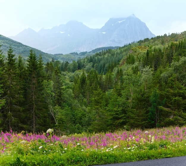 Vista nuvolosa di estate della montagna con i fiori davanti