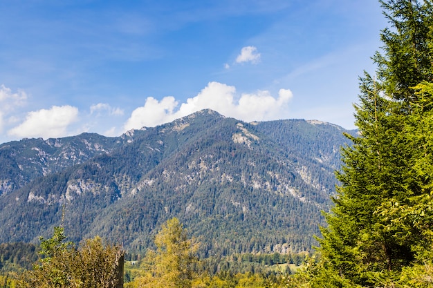 Vista paesaggio Alpi bavaresi, Germania, Europa