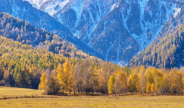 Vista panoramica autunnale