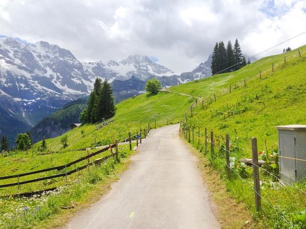 Vista panoramica dal sentiero escursionistico Murren-Gimmelwald, Svizzera