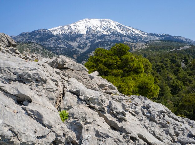 Vista panoramica dall'alto dell'isola di Evia nelle montagne Dirfys in una giornata di sole in Grecia