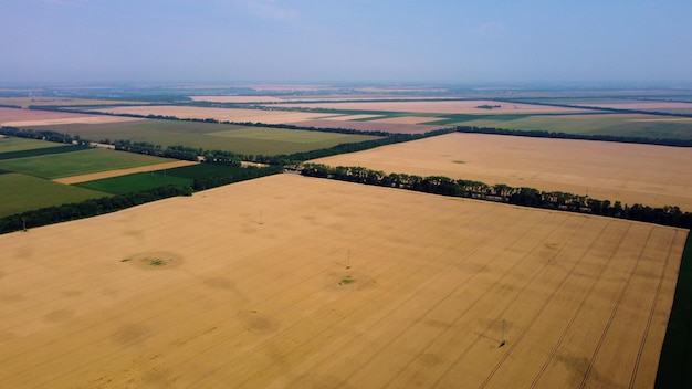 Vista panoramica dall'alto di diversi campi agricoli parti del campo di grano giallo