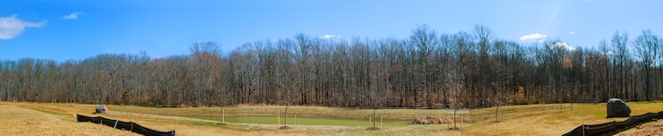 Foto vista panoramica degli alberi contro il cielo