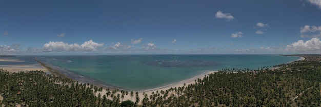 Vista panoramica degli alberi di cocco alla barriera corallina e al mare di Praia dos Carneiros