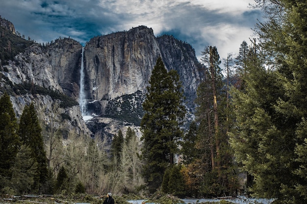 Vista panoramica degli alberi di pino e della cascata della foresta di Yosemite contro il cielo