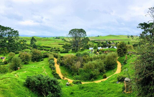 Vista panoramica degli alberi sul campo contro il cielo