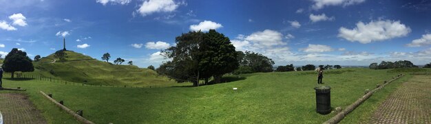 Vista panoramica degli alberi sul campo contro il cielo