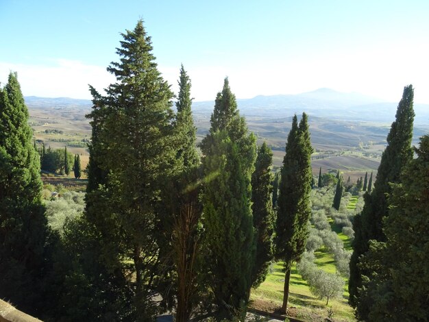 Vista panoramica degli alberi sul paesaggio contro il cielo