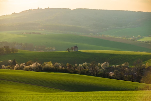 Vista panoramica dei campi ondulati vicino a Kyjov Distretto di Hodonin Regione della Moravia meridionale Moravia