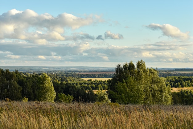 Vista panoramica del bellissimo campo