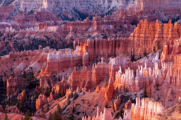 Vista panoramica del Bryce Canyon