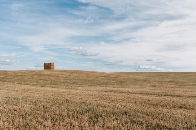 Vista panoramica del campo agricolo contro il cielo.