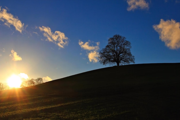 Vista panoramica del campo contro il cielo al tramonto