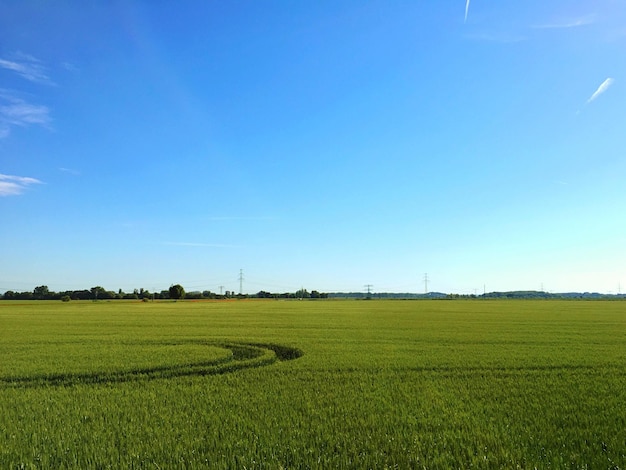 Vista panoramica del campo contro il cielo blu chiaro