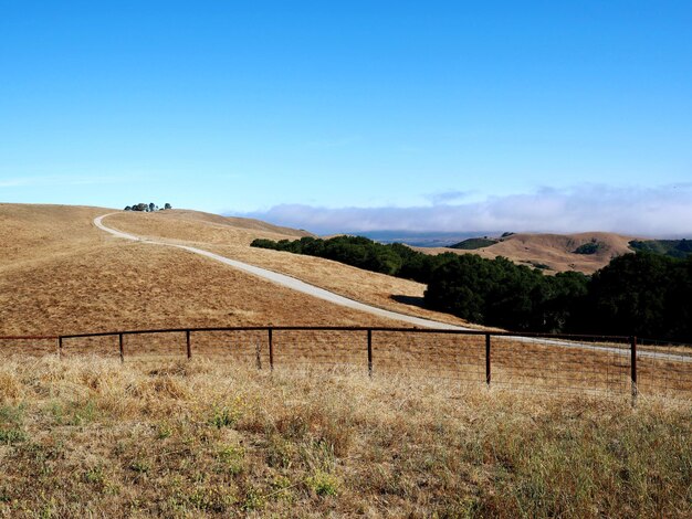 Vista panoramica del campo contro il cielo blu