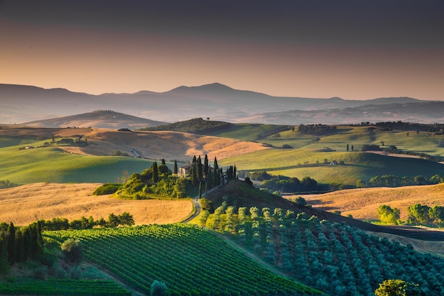 Vista panoramica del campo contro il cielo durante il tramonto