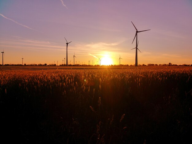 Vista panoramica del campo contro il cielo durante il tramonto