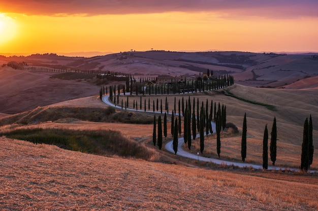 Vista panoramica del campo contro il cielo durante il tramonto