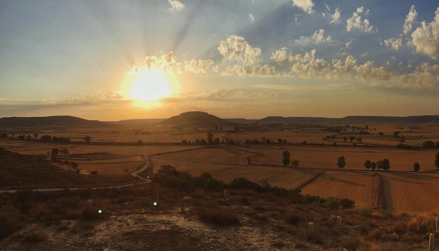 Vista panoramica del campo contro il cielo durante il tramonto