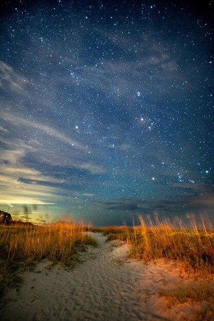 Vista panoramica del campo contro il cielo notturno