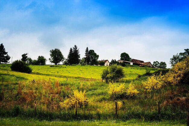 Vista panoramica del campo contro il cielo