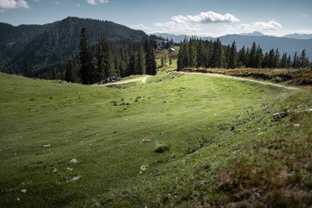 Vista panoramica del campo contro il cielo