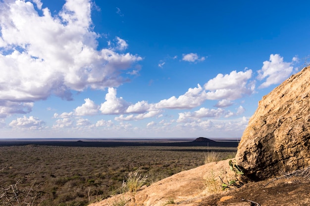 Vista panoramica del campo contro il cielo