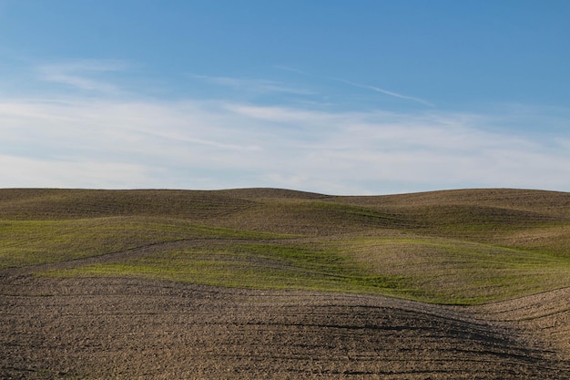 Vista panoramica del campo contro il cielo