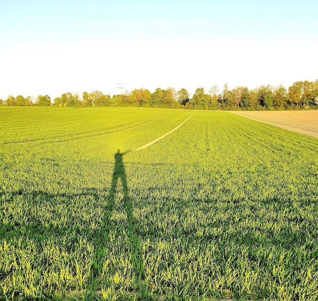 Vista panoramica del campo contro il cielo