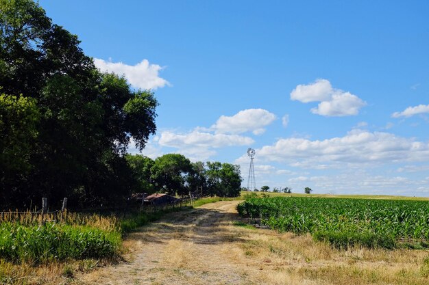 Vista panoramica del campo contro il cielo