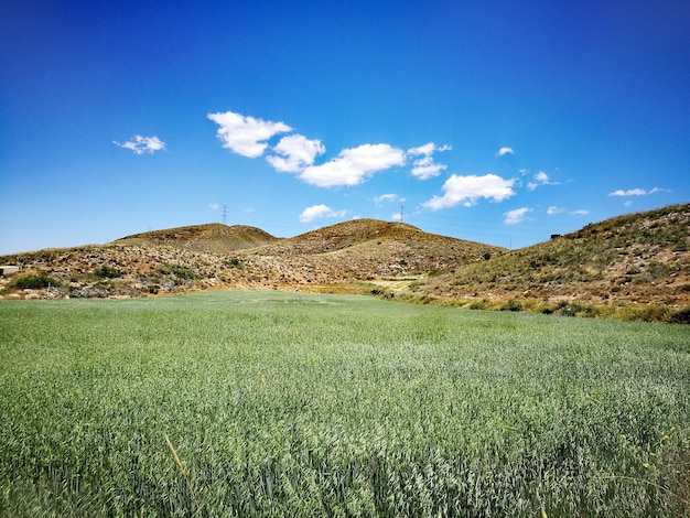 Vista panoramica del campo contro il cielo