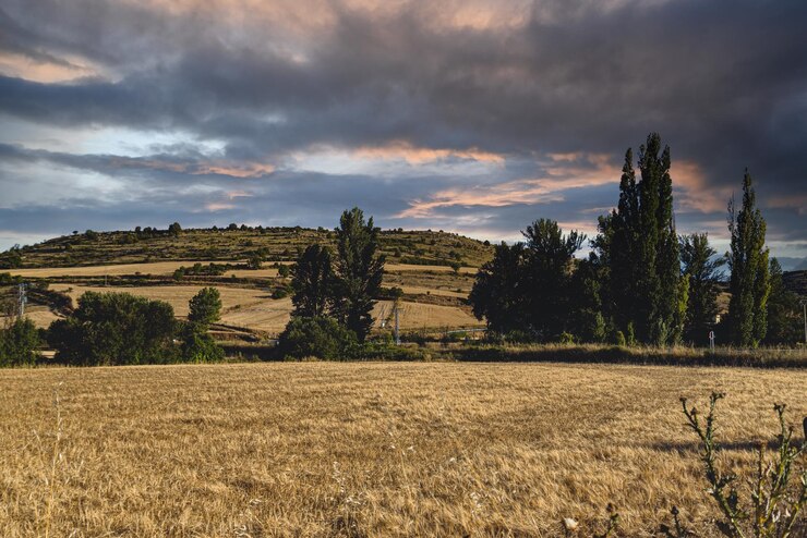 Foto vista panoramica del campo contro il cielo