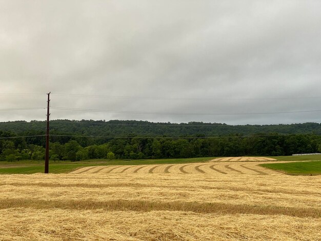 Vista panoramica del campo contro il cielo