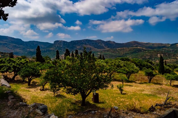 Vista panoramica del campo contro il cielo