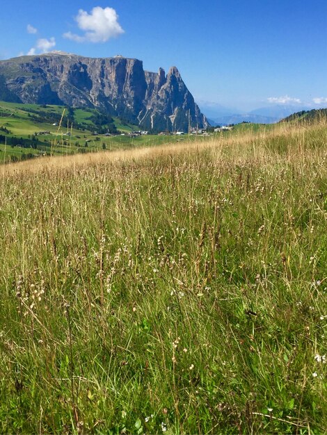 Vista panoramica del campo contro il cielo