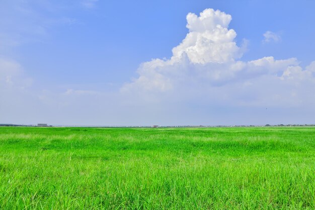 Vista panoramica del campo contro il cielo