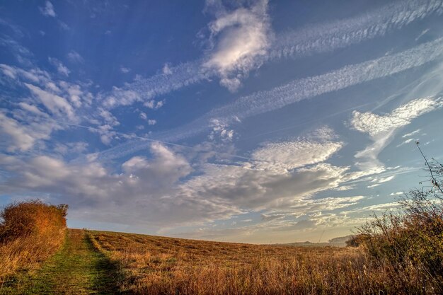 Vista panoramica del campo contro il cielo